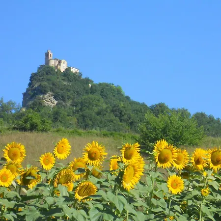 Le Castellare * Montemonaco