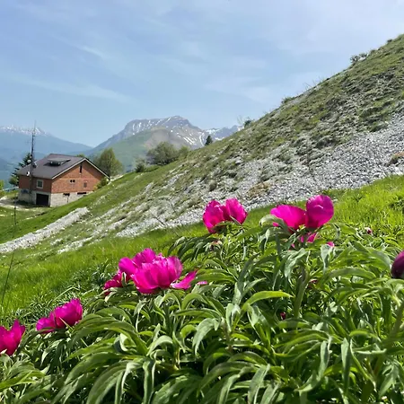 Farm stay Le Castellare Montemonaco